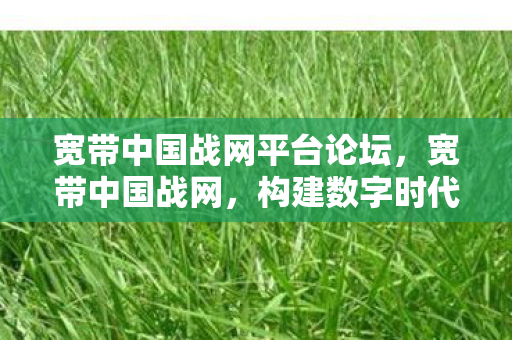 宽带中国战网平台论坛，宽带中国战网，构建数字时代的桥梁