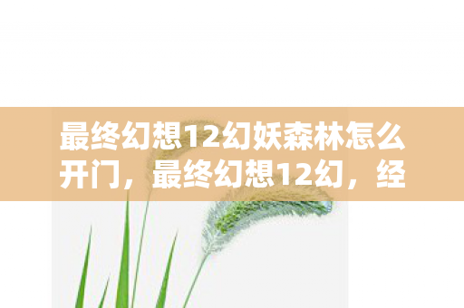 最终幻想12幻妖森林怎么开门，最终幻想12幻，经典重制的魅力与深度解析