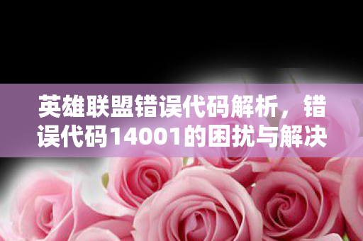 英雄联盟错误代码解析，错误代码14001的困扰与解决策略