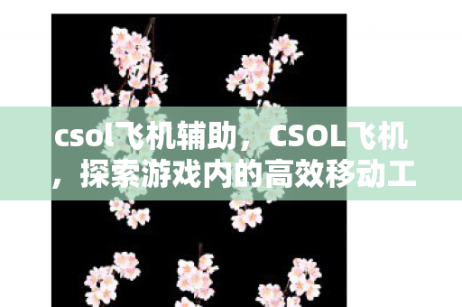 csol飞机辅助，CSOL飞机，探索游戏内的高效移动工具