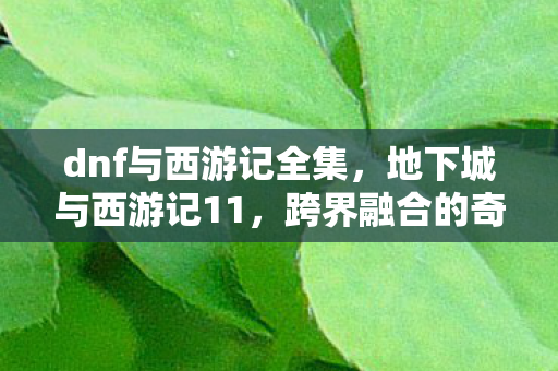 dnf与西游记全集，地下城与西游记11，跨界融合的奇幻冒险