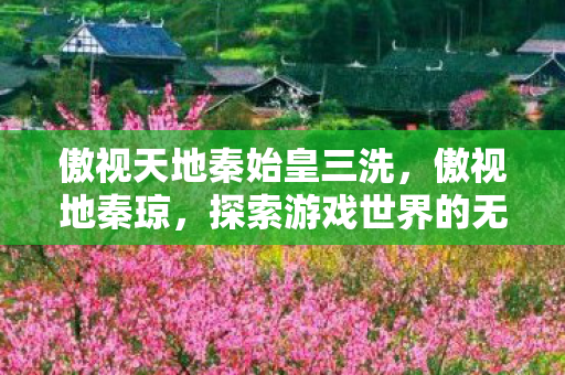 傲视天地秦始皇三洗，傲视地秦琼，探索游戏世界的无限可能