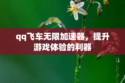 qq飞车无限加速器，提升游戏体验的利器