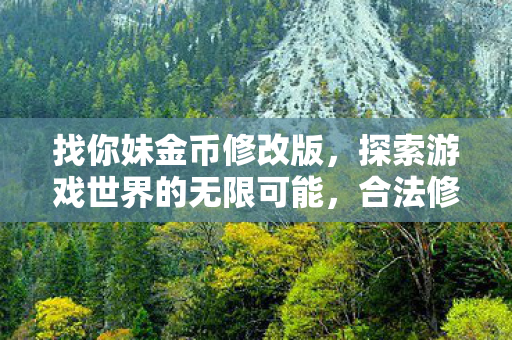 找你妹金币修改版，探索游戏世界的无限可能，合法修改与官方支持的乐趣