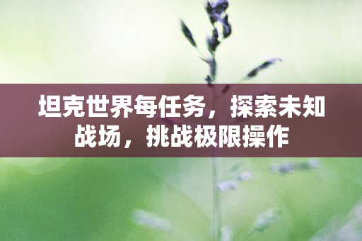 坦克世界每任务，探索未知战场，挑战极限操作