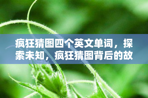 疯狂猜图四个英文单词，探索未知，疯狂猜图背后的故事