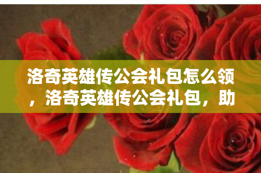 洛奇英雄传公会礼包怎么领，洛奇英雄传公会礼包，助力公会成长，打造传奇团队