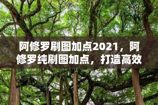 阿修罗刷图加点2021，阿修罗纯刷图加点，打造高效刷图体验