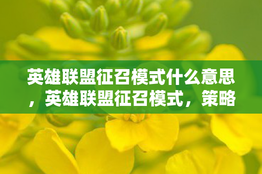英雄联盟征召模式什么意思，英雄联盟征召模式，策略与团队协作的巅峰