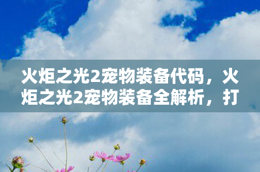 火炬之光2宠物装备代码，火炬之光2宠物装备全解析，打造最强萌宠的必备神器
