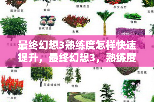最终幻想3熟练度怎样快速提升，最终幻想3，熟练度背后的故事与技巧