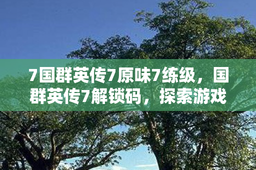 7国群英传7原味7练级，国群英传7解锁码，探索游戏世界的无限可能