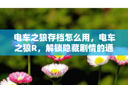 电车之狼存档怎么用，电车之狼R，解锁隐藏剧情的通关存档分享