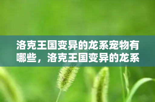 洛克王国变异的龙系宠物有哪些，洛克王国变异的龙系宠物，探索神秘力量的奇妙之旅