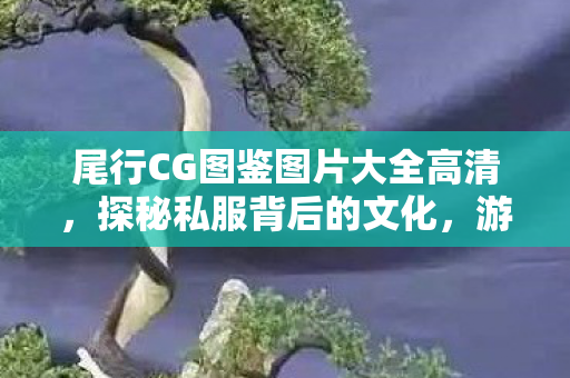 尾行CG图鉴图片大全高清，探秘私服背后的文化，游戏世界的另类体验
