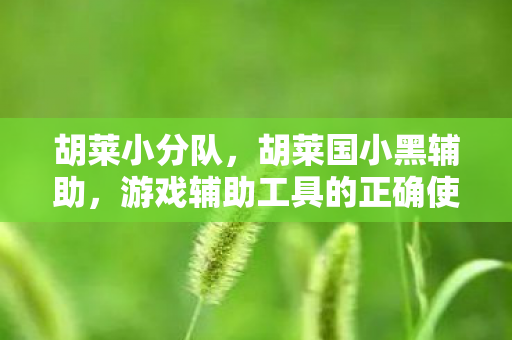胡莱小分队，胡莱国小黑辅助，游戏辅助工具的正确使用与注意事项