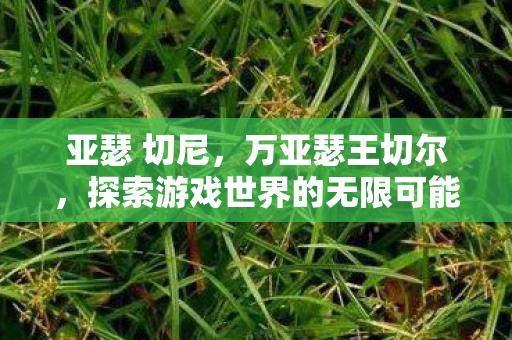 亚瑟 切尼，万亚瑟王切尔，探索游戏世界的无限可能