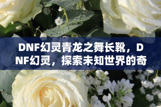 DNF幻灵青龙之舞长靴，DNF幻灵，探索未知世界的奇幻之旅