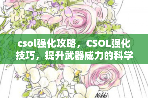 csol强化攻略，CSOL强化技巧，提升武器威力的科学策略
