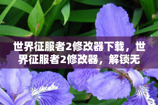 世界征服者2修改器下载，世界征服者2修改器，解锁无限可能的策略游戏神器