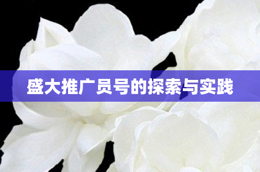 盛大推广员号的探索与实践