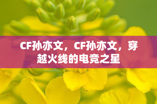 CF孙亦文，CF孙亦文，穿越火线的电竞之星