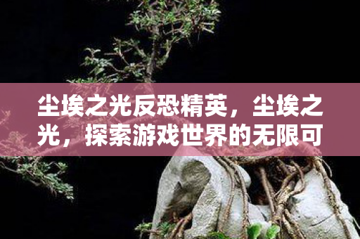 尘埃之光反恐精英，尘埃之光，探索游戏世界的无限可能
