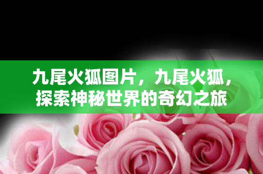 九尾火狐图片，九尾火狐，探索神秘世界的奇幻之旅