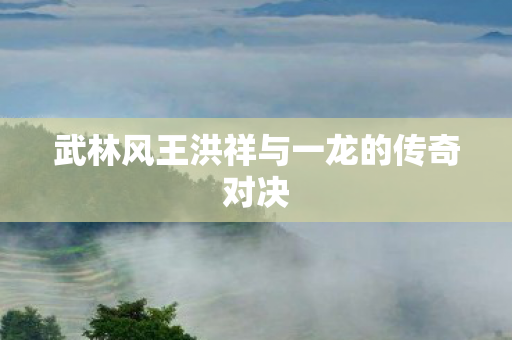 武林风王洪祥与一龙的传奇对决