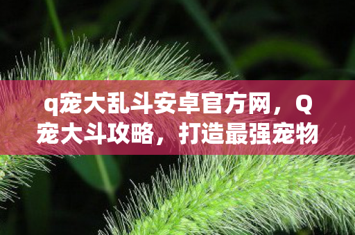 q宠大乱斗安卓官方网，Q宠大斗攻略，打造最强宠物阵容，称霸竞技场！