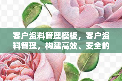 客户资料管理模板，客户资料管理，构建高效、安全的客户数据体系