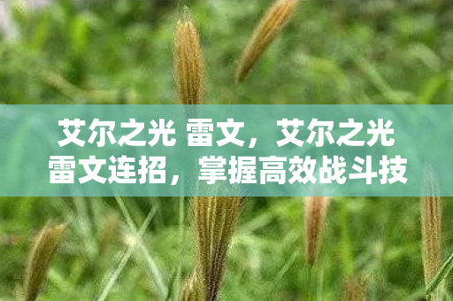 艾尔之光 雷文，艾尔之光雷文连招，掌握高效战斗技巧