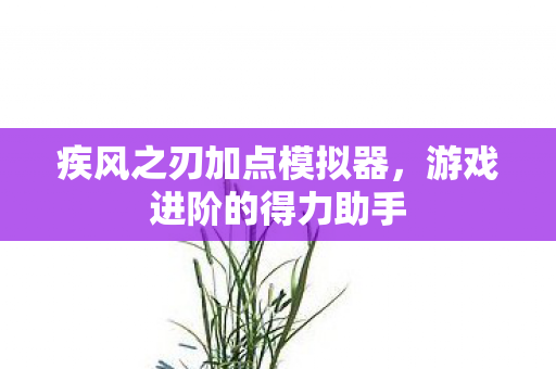 疾风之刃加点模拟器,游戏进阶的得力助手 疾风之刃加点模拟器,游戏进阶的得力助手