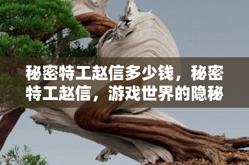 秘密特工赵信多少钱，秘密特工赵信，游戏世界的隐秘守护者