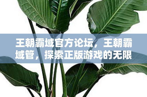 王朝霸域官方论坛，王朝霸域管，探索正版游戏的无限可能