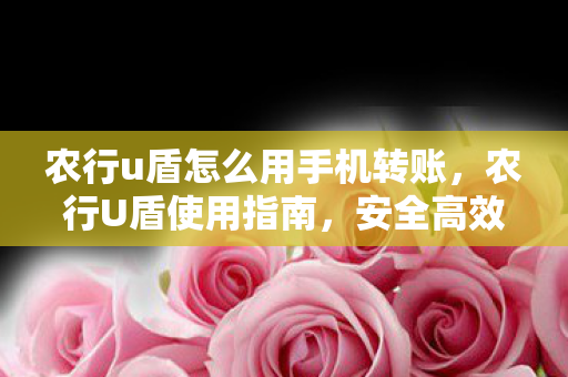 农行u盾怎么用手机转账，农行U盾使用指南，安全高效完成转账操作