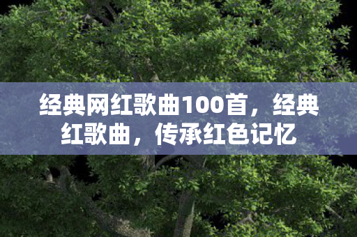 经典网红歌曲100首，经典红歌曲，传承红色记忆