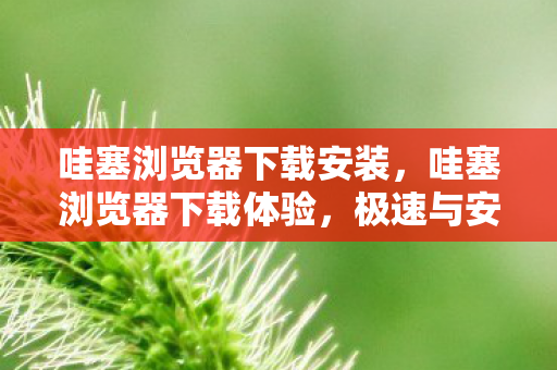 哇塞浏览器下载安装，哇塞浏览器下载体验，极速与安全并重的网络探索之旅