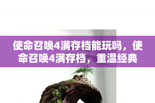 使命召唤4满存档能玩吗，使命召唤4满存档，重温经典，解锁无限可能