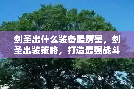 剑圣出什么装备最厉害，剑圣出装策略，打造最强战斗力的关键装备选择