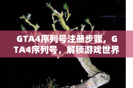 GTA4序列号注册步骤，GTA4序列号，解锁游戏世界的钥匙