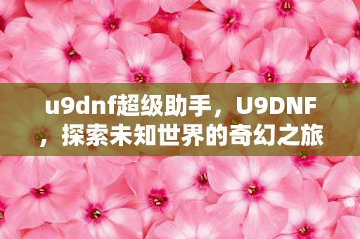 u9dnf超级助手，U9DNF，探索未知世界的奇幻之旅