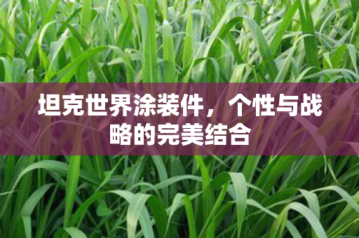 坦克世界涂装件，个性与战略的完美结合