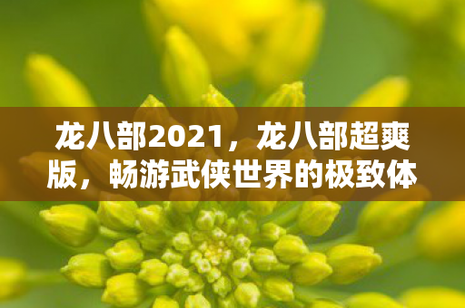 龙八部2021，龙八部超爽版，畅游武侠世界的极致体验