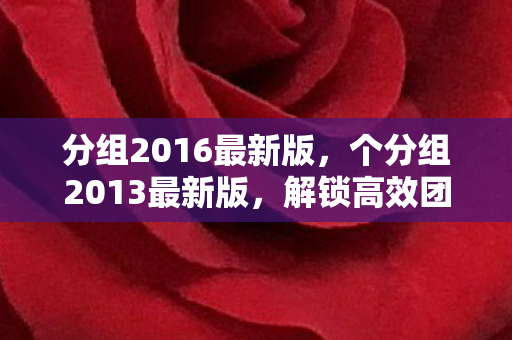 分组2016最新版，个分组2013最新版，解锁高效团队协作的新篇章