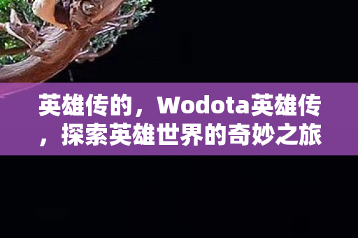 英雄传的，Wodota英雄传，探索英雄世界的奇妙之旅