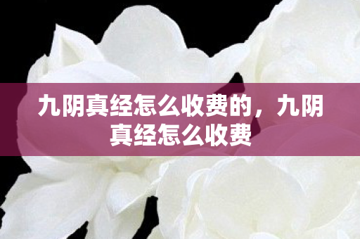 九阴真经怎么收费的，九阴真经怎么收费