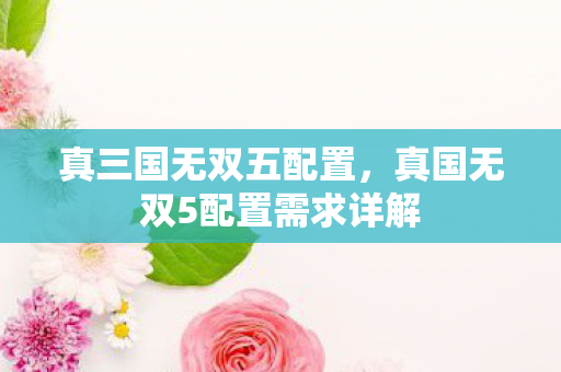 真三国无双五配置，真国无双5配置需求详解
