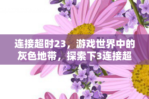 连接超时23，游戏世界中的灰色地带，探索下3连接超时现象