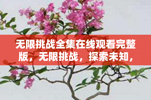 无限挑战全集在线观看完整版，无限挑战，探索未知，突破自我